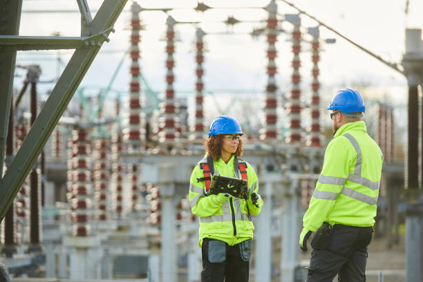 Best Affordable Electrician  in Roaming Shores, OH